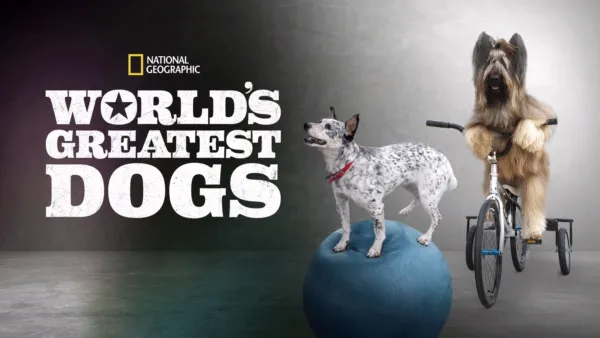 thumbnail - World's Greatest Dogs