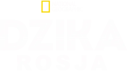 Dzika Rosja