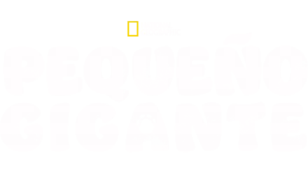 Pequeño gigante