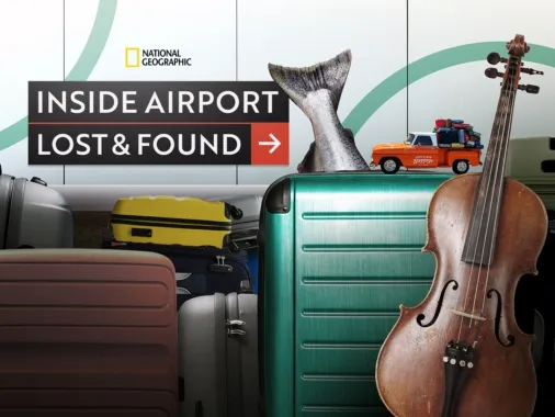 Watch Inside Airport Lost & Found | Disney+