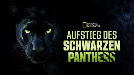 thumbnail - Aufstieg des schwarzen Panthers