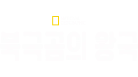 북극곰의 왕국