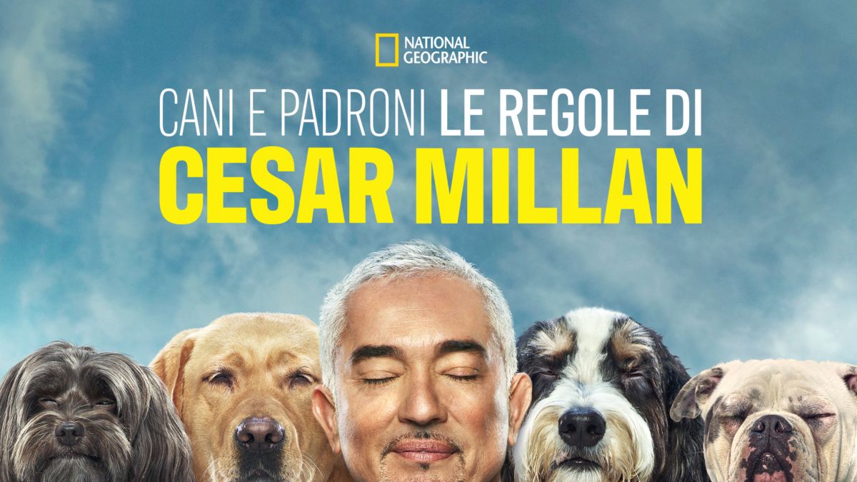 Guarda episodi completi di César Millán: Persone migliori per cani ...