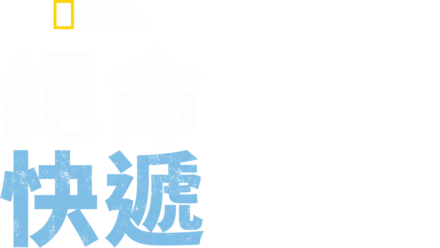 絕命快遞