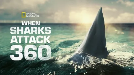 Watch National Geographic Sharks | Disney+