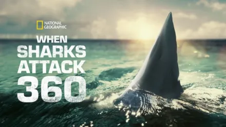 thumbnail - When Sharks Attack 360