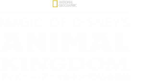 Magic of Disney’s Animal Kingdom　ディズニー・アニマルキングダムの魔法