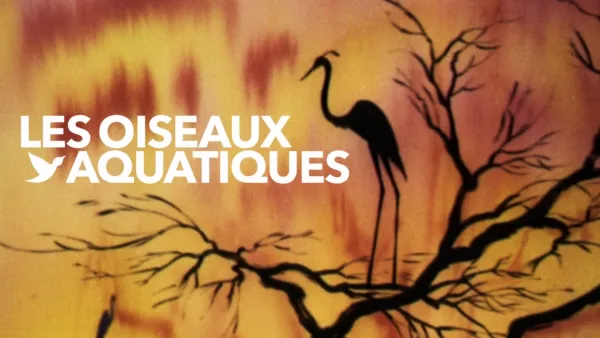 thumbnail - Oiseaux aquatiques, Les
