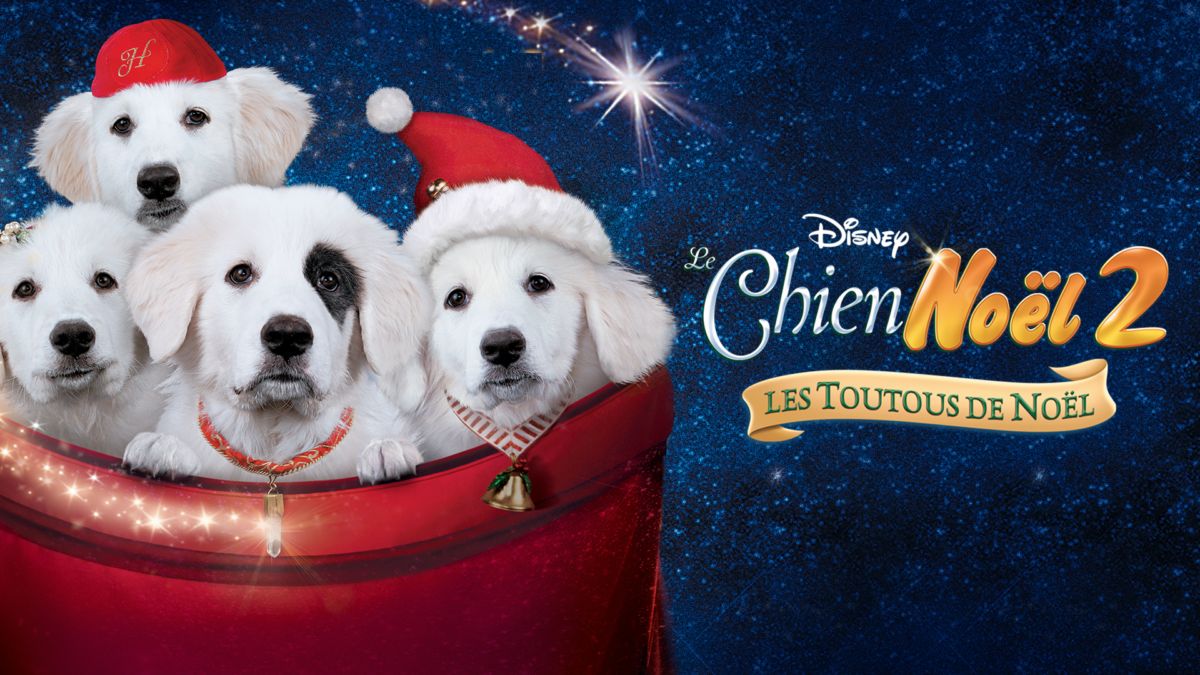 Regardez Le Chien Noël 2 : Les Toutous de Noël | Film complet | Disney+