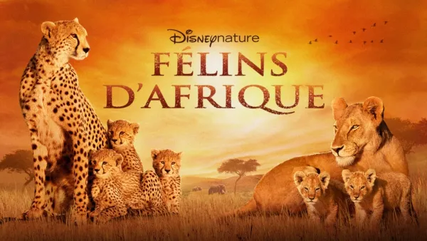 thumbnail - Disneynature : Félins d’Afrique