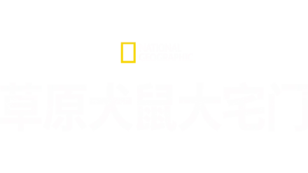 土拨鼠大宅门