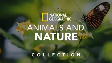 thumbnail - National Geographic Animals and Nature