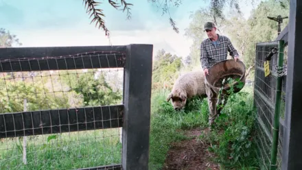 Mi gran pequeña granja: El regreso