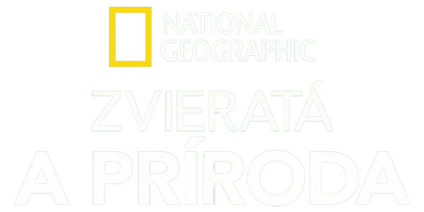 National Geographic – zvieratá a príroda Title Art Image