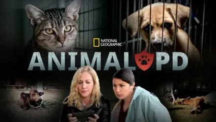 thumbnail - Animal PD