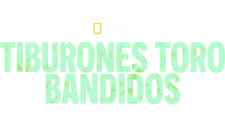 Tiburones toro bandidos