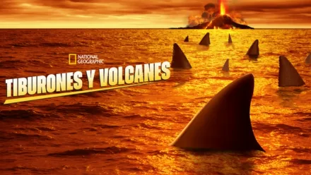 thumbnail - Tiburones y volcanes