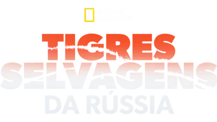 Tigres Selvagens da Rússia