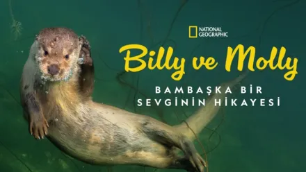 thumbnail - Billy ve Molly: Bambaşka Bir Sevginin Hikayesi