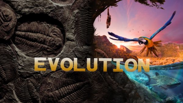 Is 'Evolution' on Disney+ NL - Where to Watch the Movie - New On Disney+ NL