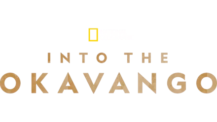 Into the Okavango