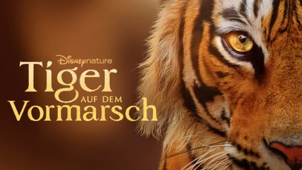 thumbnail - Tiger auf dem Vormarsch