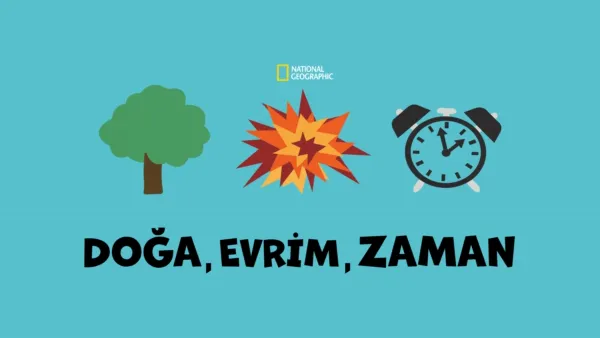 thumbnail - Doğa, Evrim, Zaman