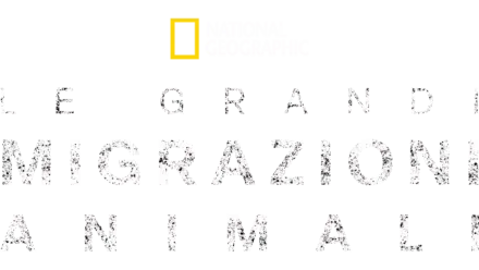 Le grandi migrazioni animali