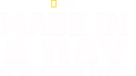 Made In A Day