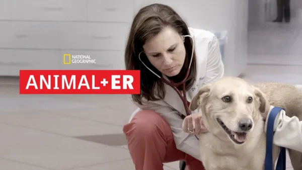 thumbnail - Animal ER