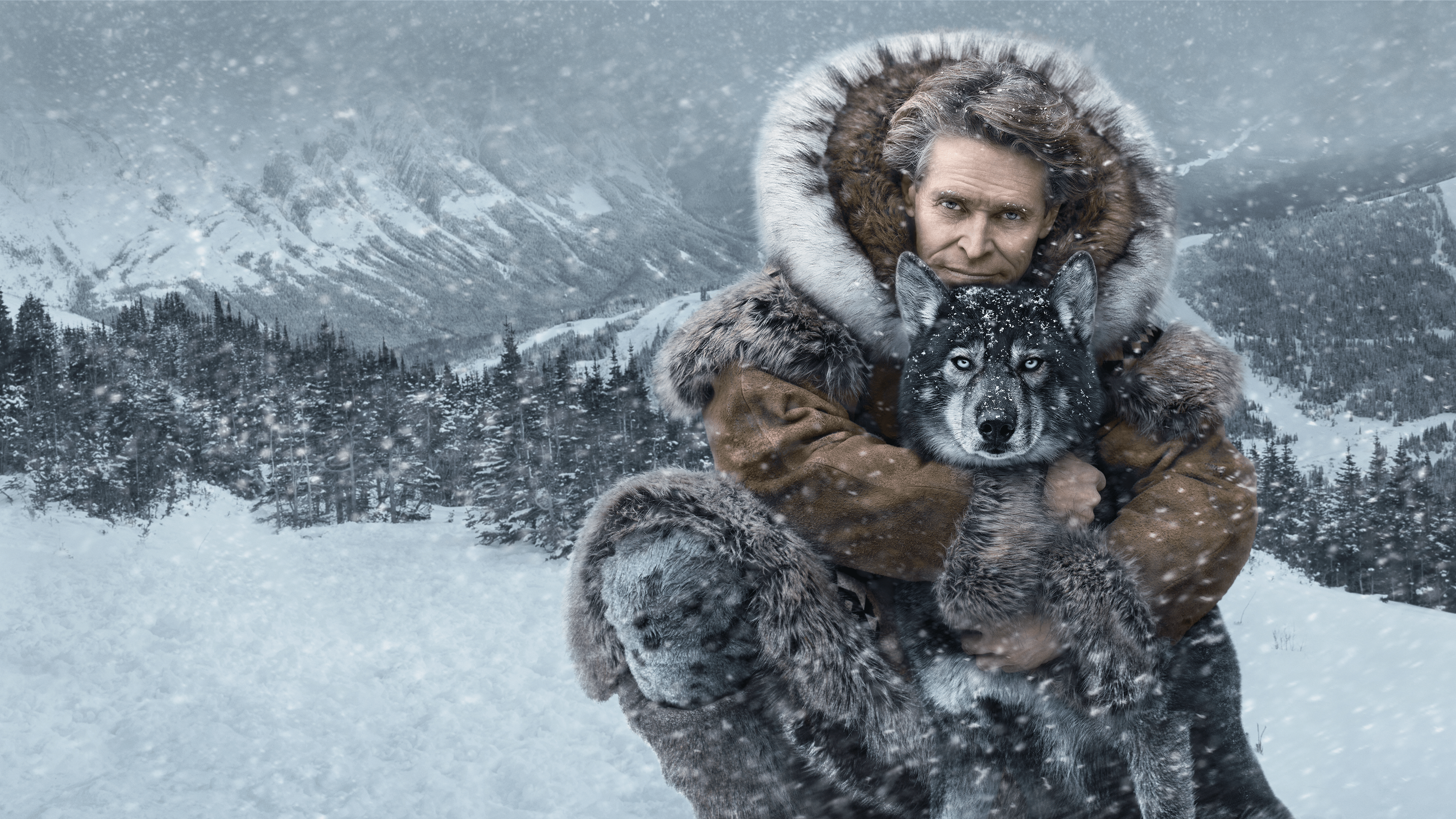 Watch Togo  Full Movie  Disney+