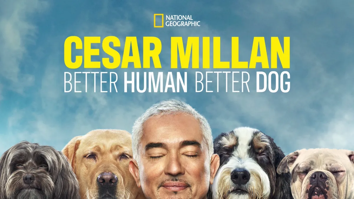 Cesar millan best sale obedience training