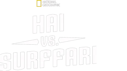 Hai vs. surffari