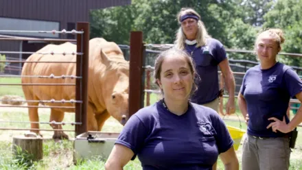 Secretos veterinarios: Carolina del Norte