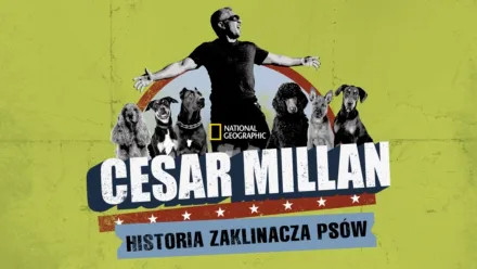 thumbnail - Cesar Millan: historia zaklinacza psów