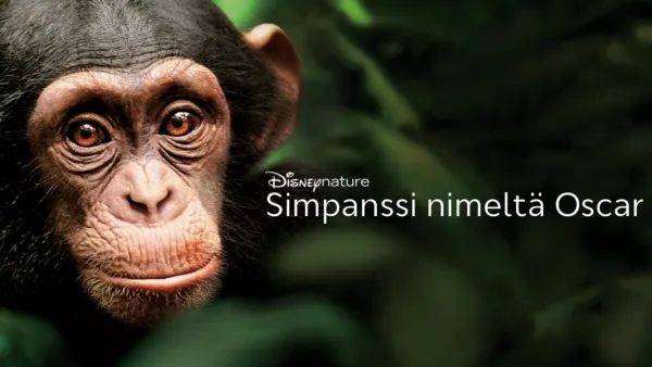 thumbnail - Simpanssi nimeltä Oscar