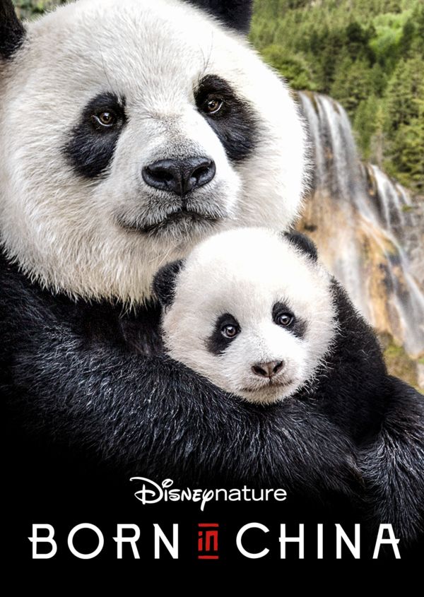 Disneynature Born in China on Disney+ NL