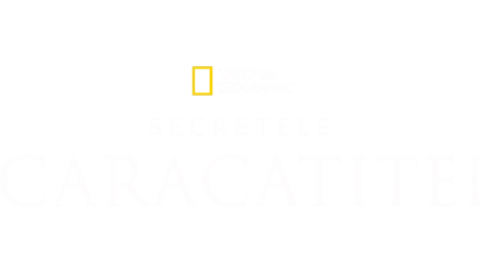 Secretele Caracatiței