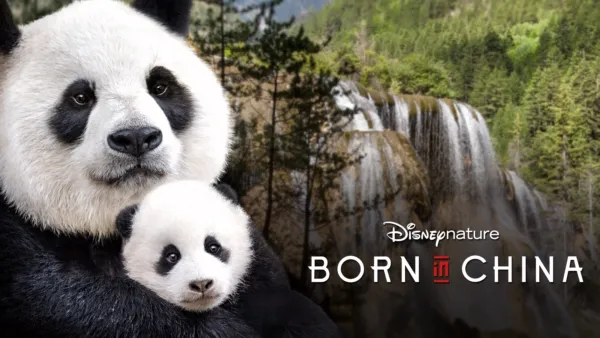 thumbnail - Disneynature Born in China