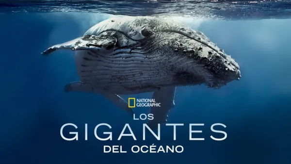 thumbnail - Los Gigantes del Océano