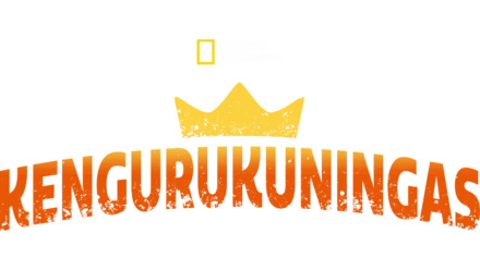 Kengurukuningas