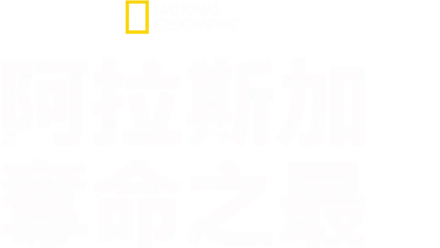 阿拉斯加奪命之最