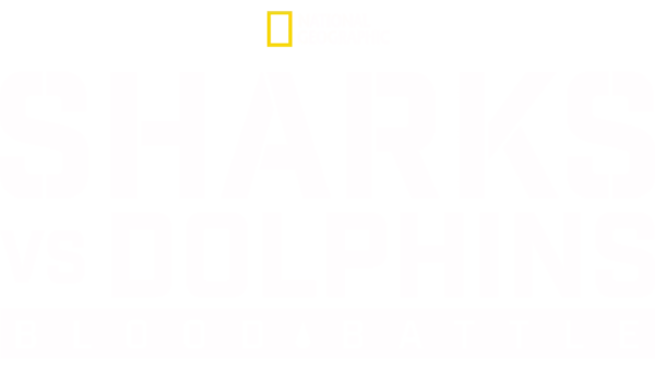 Dolphins vs Sharks: Blood Battle