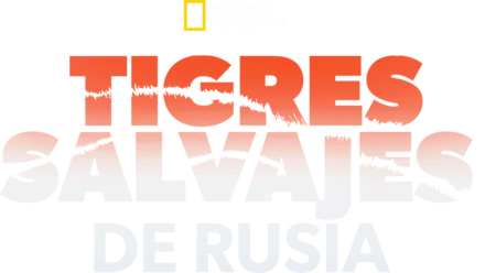 Tigres salvajes de Rusia