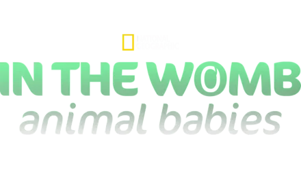 In The Womb: Animal Babies