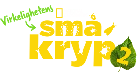 Virkelighetens småkryp