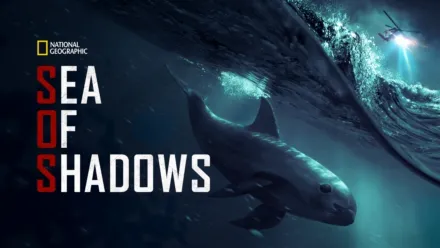 thumbnail - Sea of Shadows