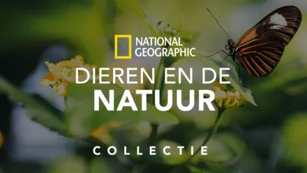 thumbnail - National Geographic: Dieren en natuur