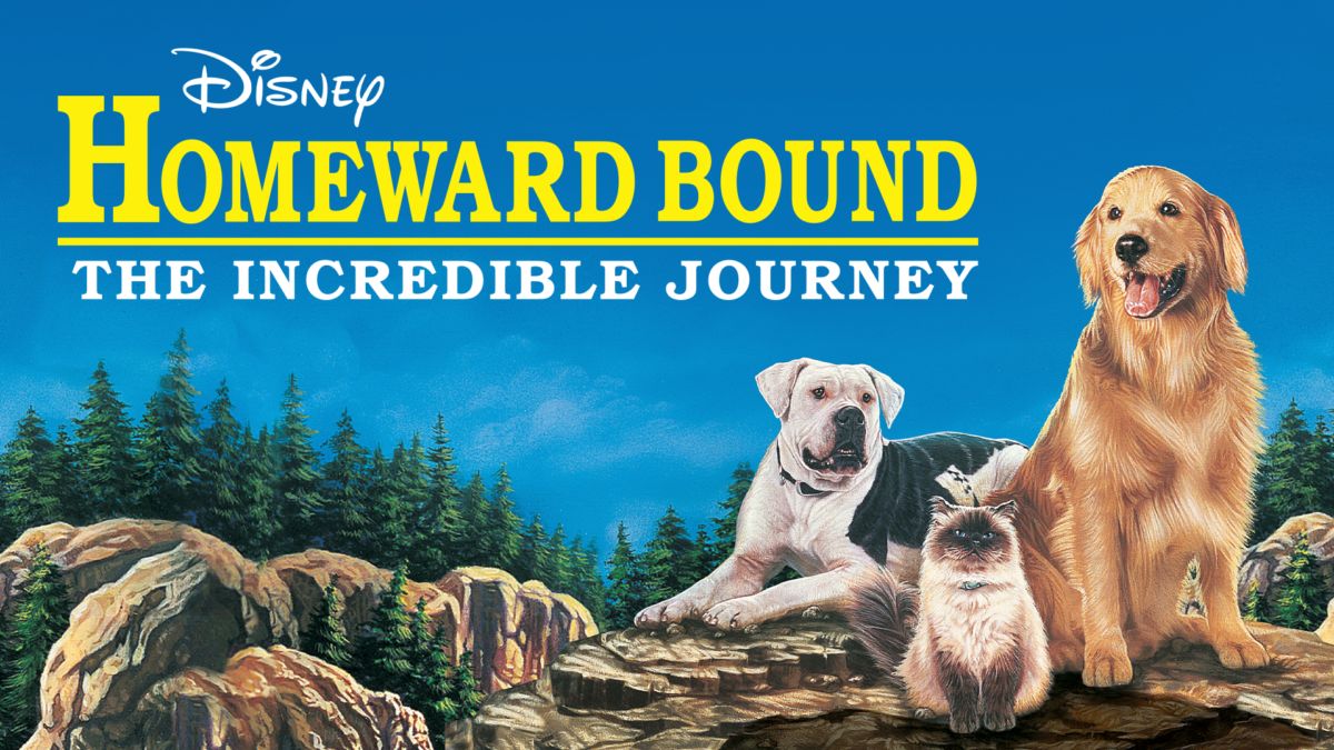 the incredible journey or homeward bound