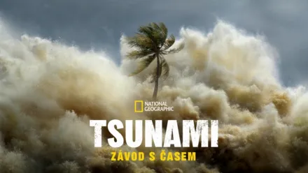 thumbnail - Tsunami: Závod s časem